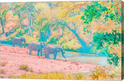 Framed Waterhole Rendezvous I Print