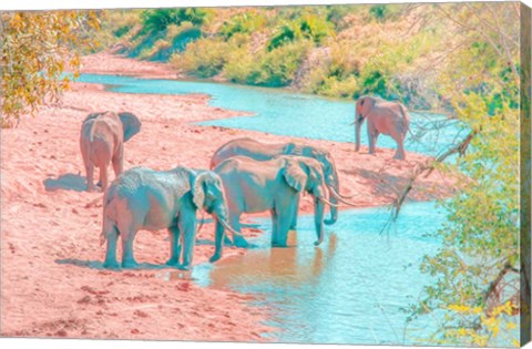 Framed Waterhole Rendezvous II Print