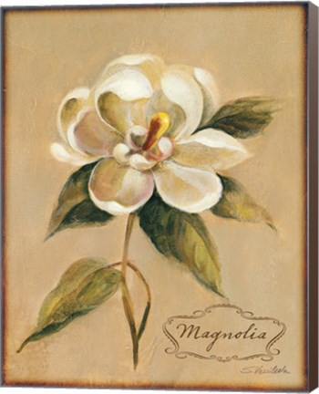 Framed December Magnolia Vintage Print