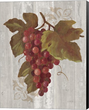 Framed Autumn Grapes III on Wood Print