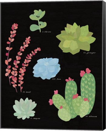 Framed Succulent Chart IV Print