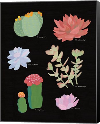 Framed Succulent Chart V Print