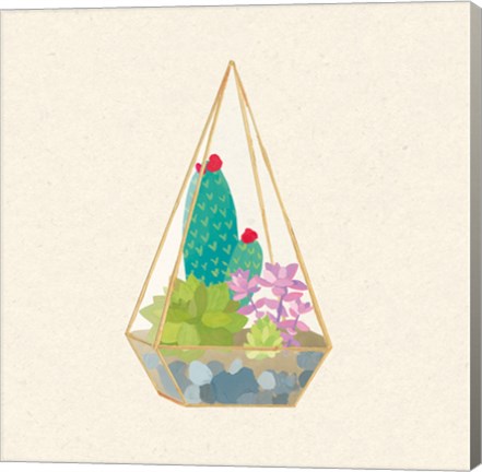Framed Succulent Terrarium II Print