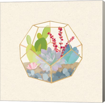 Framed Succulent Terrarium III Print