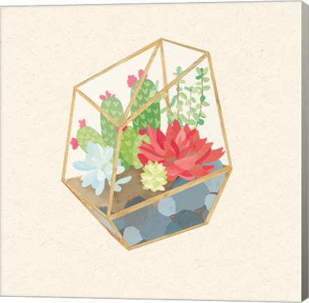 Framed Succulent Terrarium IV Print