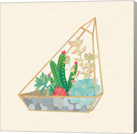 Framed Succulent Terrarium V Print