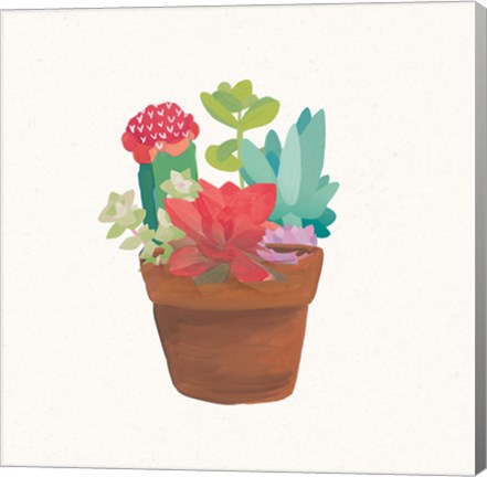 Framed Succulent Terrarium VIII Print