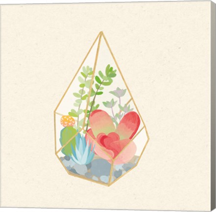 Framed Succulent Terrarium VII Print