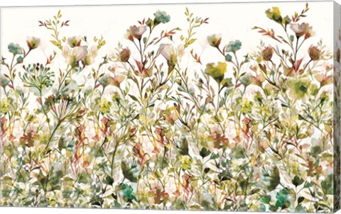 Framed Transparent Garden Spice Pattern Print