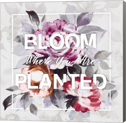 Framed Bloom Where You Are Planted Print