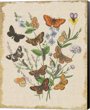 Framed Butterfly Bouquet I Linen Print