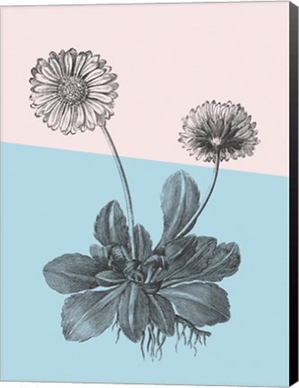 Framed Conversations on Botany IX Color Block Print
