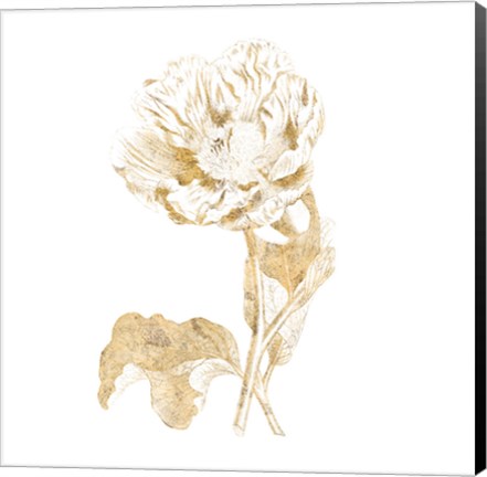 Framed Gilded Botanical VII Sq Print