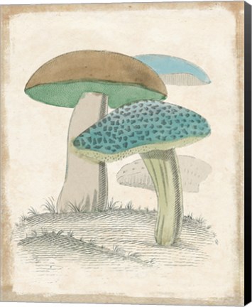 Framed Funghi Italiani Mushrooms Print