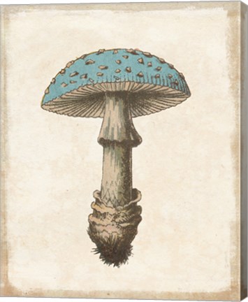 Framed Funghi Velenosi Blue Green Print