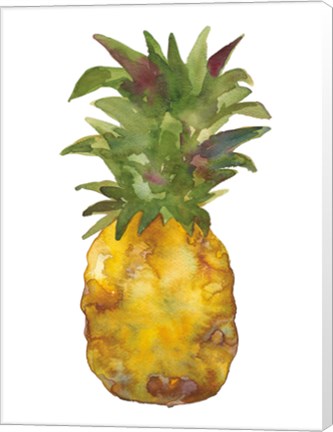 Framed Harriets Pineapple I Print