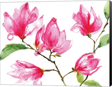 Framed Bright Magnolias Print