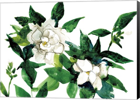 Framed Bright Gardenias Print