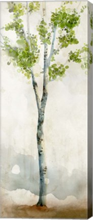 Framed Watercolor Birch Trees I Print