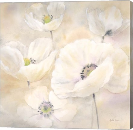 Framed White Poppies II Print