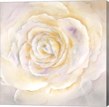 Framed Watercolor Rose Closeup I Print