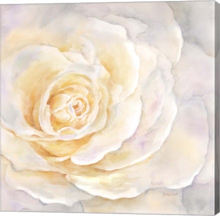 Framed Watercolor Rose Closeup II Print