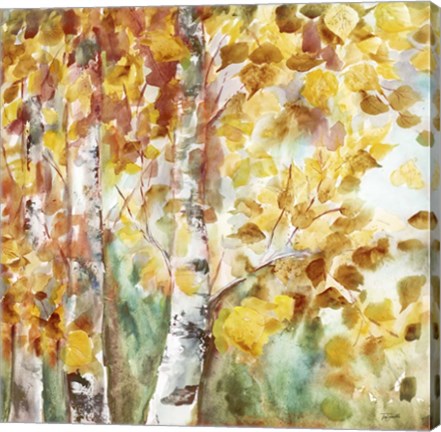 Framed Watercolor Fall Aspens Square Print