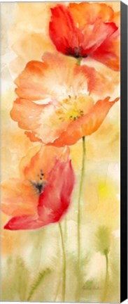 Framed Watercolor Poppy  Meadow Spice Panel II Print