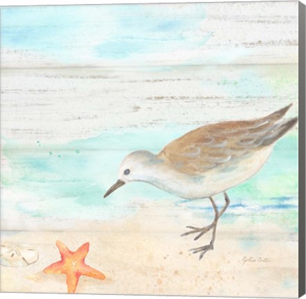 Framed Sandpiper Beach II Print