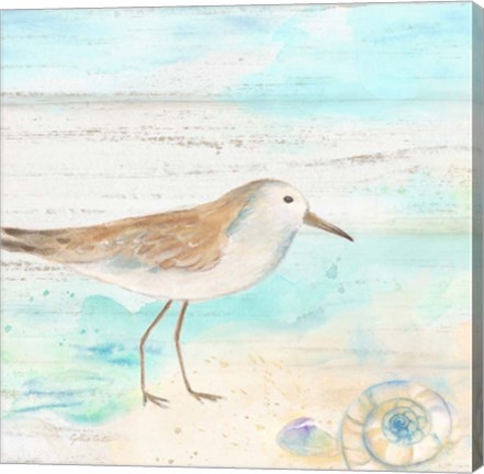 Framed Sandpiper Beach III Print