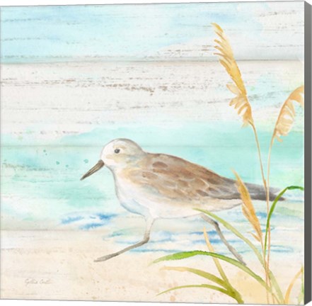 Framed Sandpiper Beach IV Print