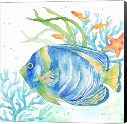 Framed Sea Life Serenade I Print