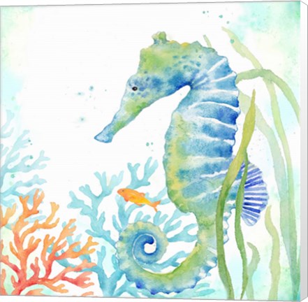 Framed Sea Life Serenade III Print
