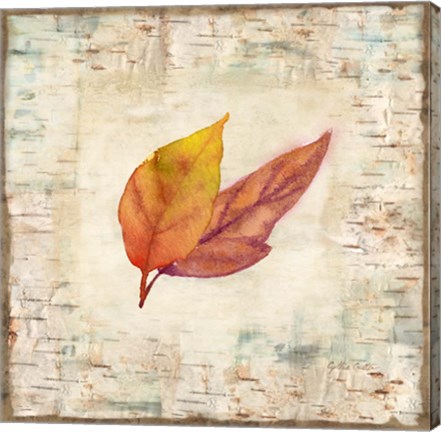 Framed Nature Walk Leaves I Print