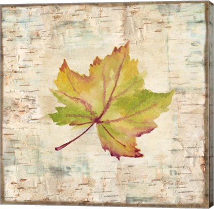 Framed Nature Walk Leaves III Print