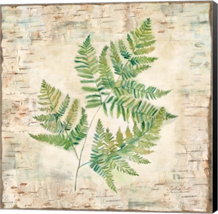 Framed Birch Bark Ferns I Print