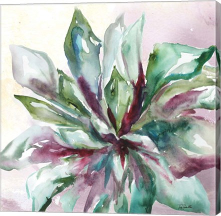 Framed Succulent Watercolor II Print