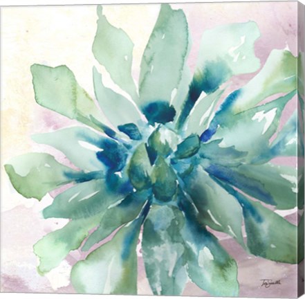 Framed Succulent Watercolor III Print