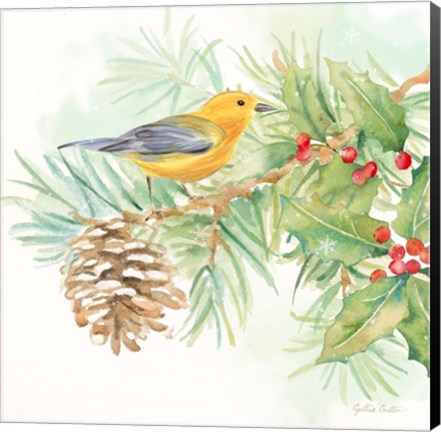 Framed Winter Birds I Warbler Print