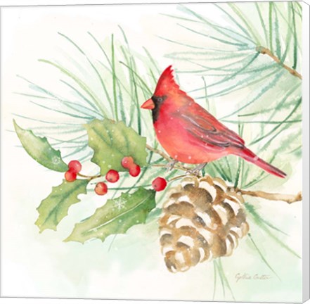 Framed Winter Birds IV Cardinal Print