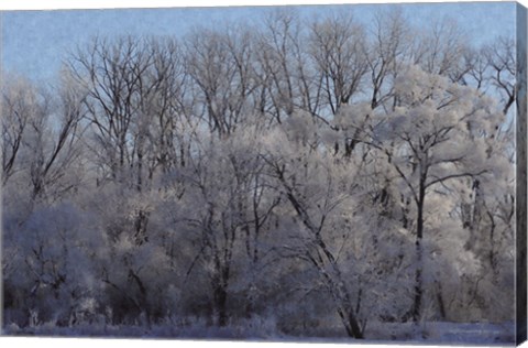 Framed Ice Land Print