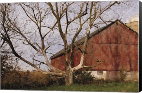 Framed Old Barn Print