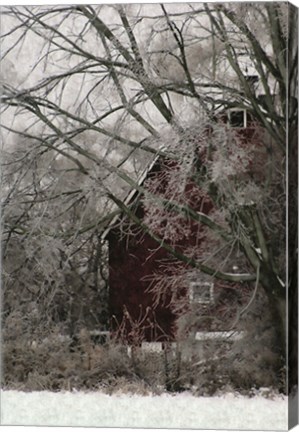 Framed Sheltered Print