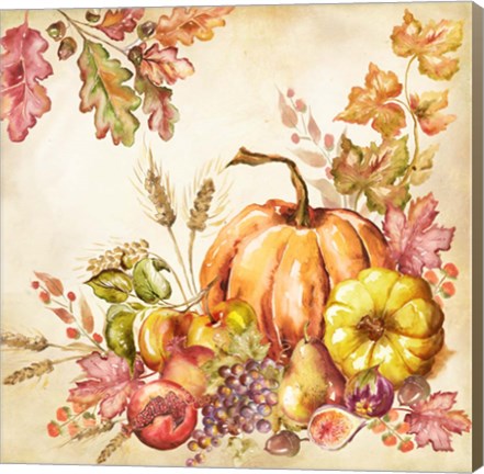 Framed Watercolor Harvest Pumpkins II Print