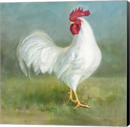 Framed Noble Rooster I Print