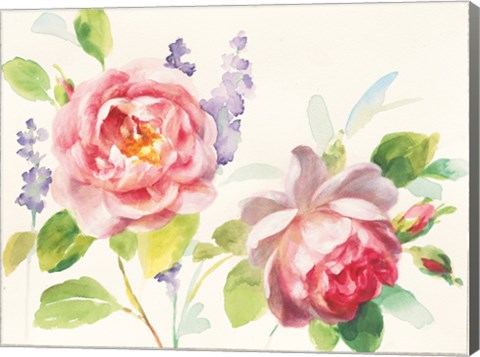 Framed Watercolor Roses Print