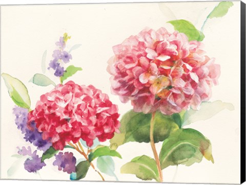 Framed Watercolor Hydrangea Print