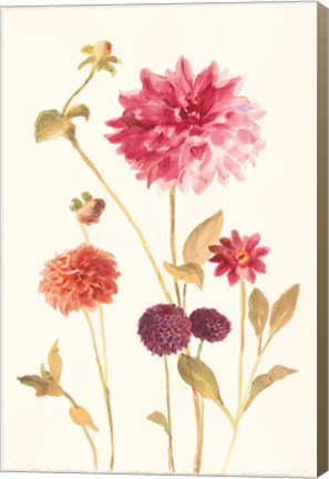 Framed Watercolor Flowers V Print