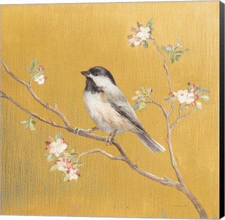 Framed Black Capped Chickadee on Gold Print