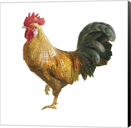 Framed Noble Rooster II on White Print